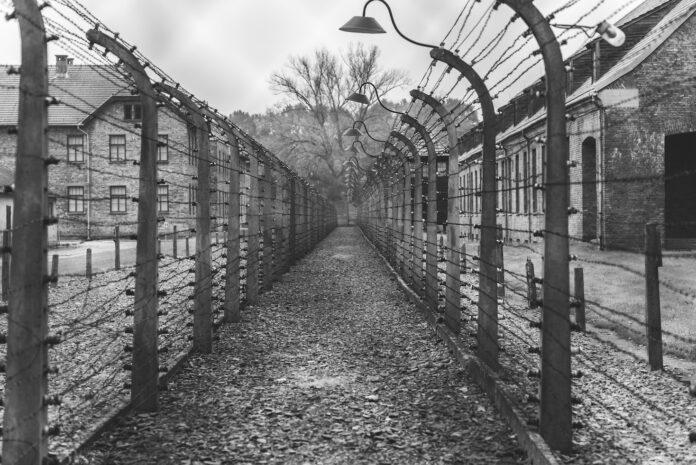 auschwitz