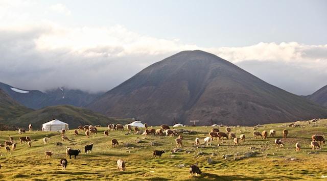 Missionaries Say ‘shock’ of Mongolia Papal visit A chance to Introduce the Faith